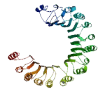 Preferentially Expressed Antigen Of Melanoma Family Member 5 (PRAMEF5)