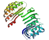 Preferentially Expressed Antigen Of Melanoma Family Member 6 (PRAMEF6)