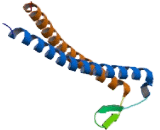 Prefoldin Subunit 2 (PFDN2)