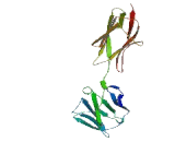 Pregnancy Specific Beta-1-Glycoprotein 5 (PSG5)