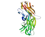 Pregnancy Specific Beta-1-Glycoprotein 8 (PSG8)