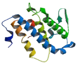 Preimplantation Protein 3 (PREI3)