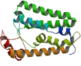 Prenyl Diphosphate Synthase 1 (PDSS1)