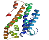 Prenyl Diphosphate Synthase 2 (PDSS2)