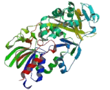 Prenylcysteine Oxidase 1 (PCYOX1)