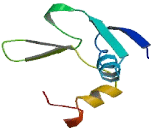 Prenylcysteine Oxidase 1 Like Protein (PCYOX1L)