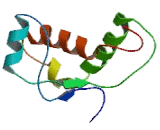 Prion Protein 2, Dublet (PRND)