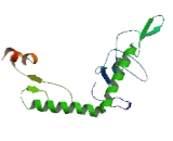 Progestin And AdipoQ Receptor Family, Member IV (PAQR4)