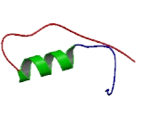 Progestin And AdipoQ Receptor Family, Member IX (PAQR9)