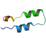 Progestin And AdipoQ Receptor Family, Member VI (PAQR6)