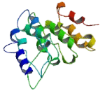 Programmed Cell Death Protein 10 (PDCD10)