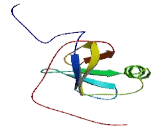 Programmed Cell Death Protein 11 (PDCD11)