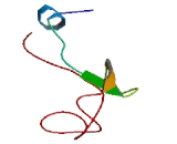 Programmed Cell Death Protein 2 Like Protein (PDCD2L)