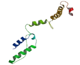 Prohibitin 2 (PHB2)