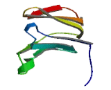 Prolactin Regulatory Element Binding Protein (PREB)