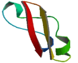 Proliferation Inducing Gene 13 (PIG13)