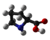 Proline (Pro)
