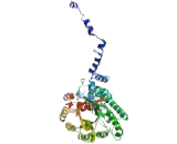 Proline Dehydrogenase, Mitochondrial (PRODH)