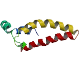 Proline Glutamate And Leucine Rich Protein 1 (PELP1)