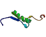 Proline Rich Acidic Protein 1 (PRAP1)