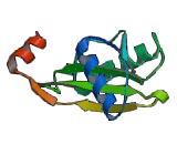 Proline Rich And Coiled Coil Containing Protein 1 (PRRC1)