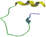 Proline Rich G Carboxyglutamic Acid 2 (PRRG2)