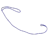 Proline Rich Membrane Anchor 1 (PRIMA1)