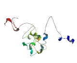 Proline Rich Polypeptide 3 (PRR3)