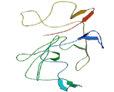 Proline Rich Transmembrane Protein 1 (PRRT1)