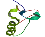 Proline Rich Transmembrane Protein 2 (PRRT2)