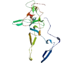 Proline Rich Transmembrane Protein 4 (PRRT4)