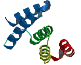 Prolyl-4-Hydroxylase Alpha Polypeptide II (P4Ha2)