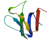 Prolyl-4-Hydroxylase Alpha Polypeptide III (P4Ha3)