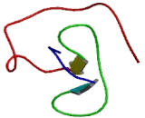 Promyelocytic Leukemia Protein (PML)