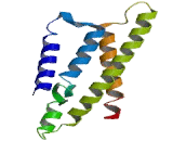 Prostacyclin Receptor (PTGIR)