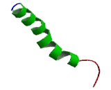 Prostaglandin D2 Receptor (DP)