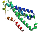 Prostaglandin E Receptor 4 (EP4)