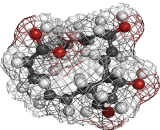 Prostaglandin F2 Alpha (PGF2a)