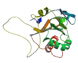 Prostamide/Prostaglandin F Synthase (PM/PGFS)