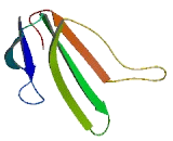 Prostate And Testis Expressed Protein 1 (PATE1)