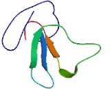 Prostate And Testis Expressed Protein 4 (PATE4)