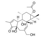 Prostratin (PRS)