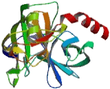 Protease, Serine 2 (PRSS2)