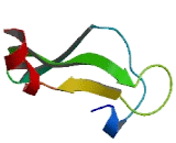 Protease, Serine 33 (PRSS33)