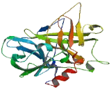 Protease, Serine 54 (PRSS54)