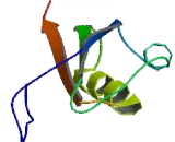 Protease Associated Domain Containing Glycoprotein 21kDa (PAP21)