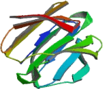 Proteasomal ATPase Associated Factor 1 (PAAF1)