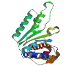 Proteasome 26S Subunit, ATPase 3 (PSMC3)