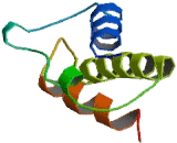 Proteasome 26S Subunit, ATPase 4 (PSMC4)