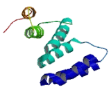 Proteasome 26S Subunit, Non ATPase 13 (PSMD13)